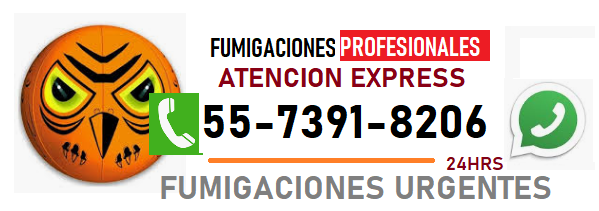 TELEFONO PARA FUMIGAR
