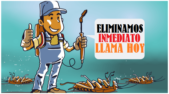 ECATEPEC FUMIGACION 2022