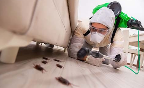 FUMIGACIONES EN ECATEPEC