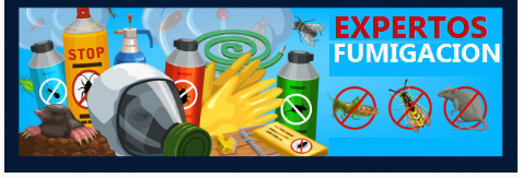FUMIGACION ECATEPEC