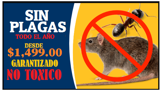 FUMIGACIONES EN ECATEPEC