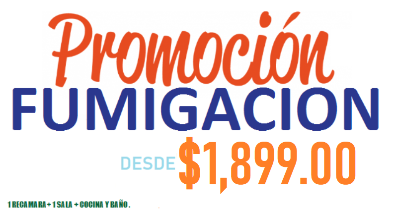 promo 2024