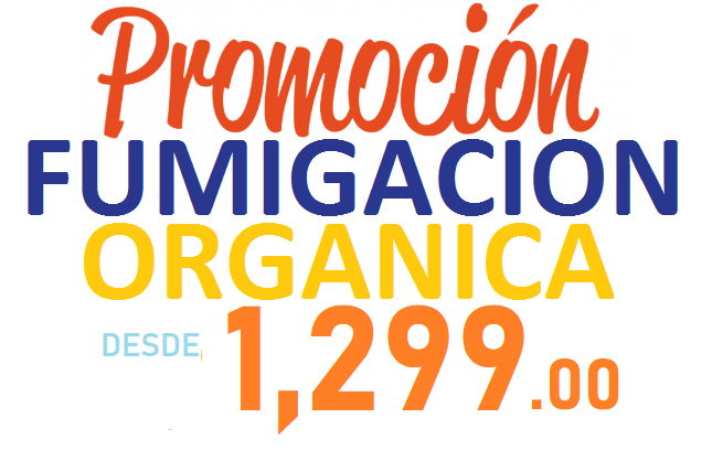 PRECIO DE FUMIGACION ECATEPEC